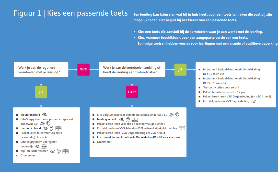 Stroomschema passend toetsen