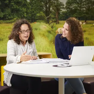 Leerkrachten primair onderwijs Leerkrachten primair onderwijs