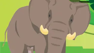 CitoLab - Robotmuis CitoLab - Robotmuis