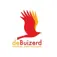 De Buizerd De Buizerd