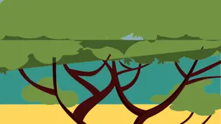 CitoLab - Robotmuis CitoLab - Robotmuis